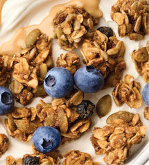 Blueberry Lemon Protein Granola